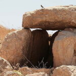 Archaeologists discover 5,000-year-old ceremonial site in Jordan