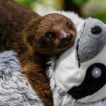 The week’s best photos