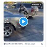 Woman in Chicago thought having kids in her car would shield her from arrest while she impeded ICE operations