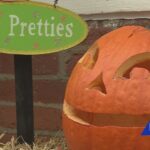Pumpkin glow underway in Historic St. Charles