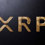 How One Retiree Lost His Entire $3 Million XRP Retirement Savings