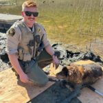 Deputy, residents rescue dog trapped in mud at Lake Nacimiento