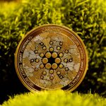 Time For A Cardano Reset? Crypto Pundit Claims Its DeFi Must Undergo Full Structural Overhaul