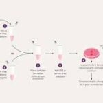 Transfection Reagents and Equipment Market Report Forecasts Dynamic Growth Through 2035