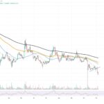 Shiba Inu Exchange Flows Stagnate Amid Downtrend, Signaling Potential Sideways Drift or Decline