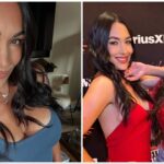 CONFIRMED: Brie Bella at recent show; WWE star waxes lyrical