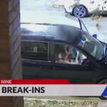 SLMPD investigates car break-ins in Tower Grove East