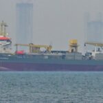 Professor explains the risk insurance offered by Trump for oil tankers near Iran