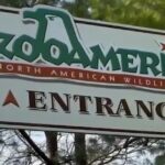 Parents charged after toddler injured by wolf at Pennsylvania zoo